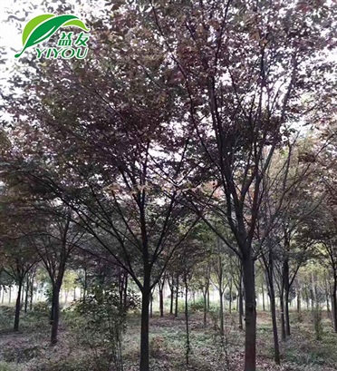 搪瓷反應(yīng)釜